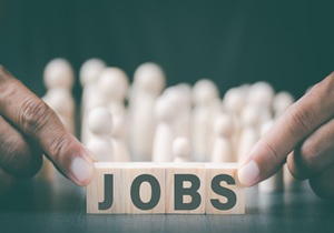 Vridhee Jobs