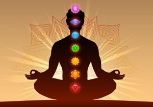 Vridhee Gurukul Wellness
